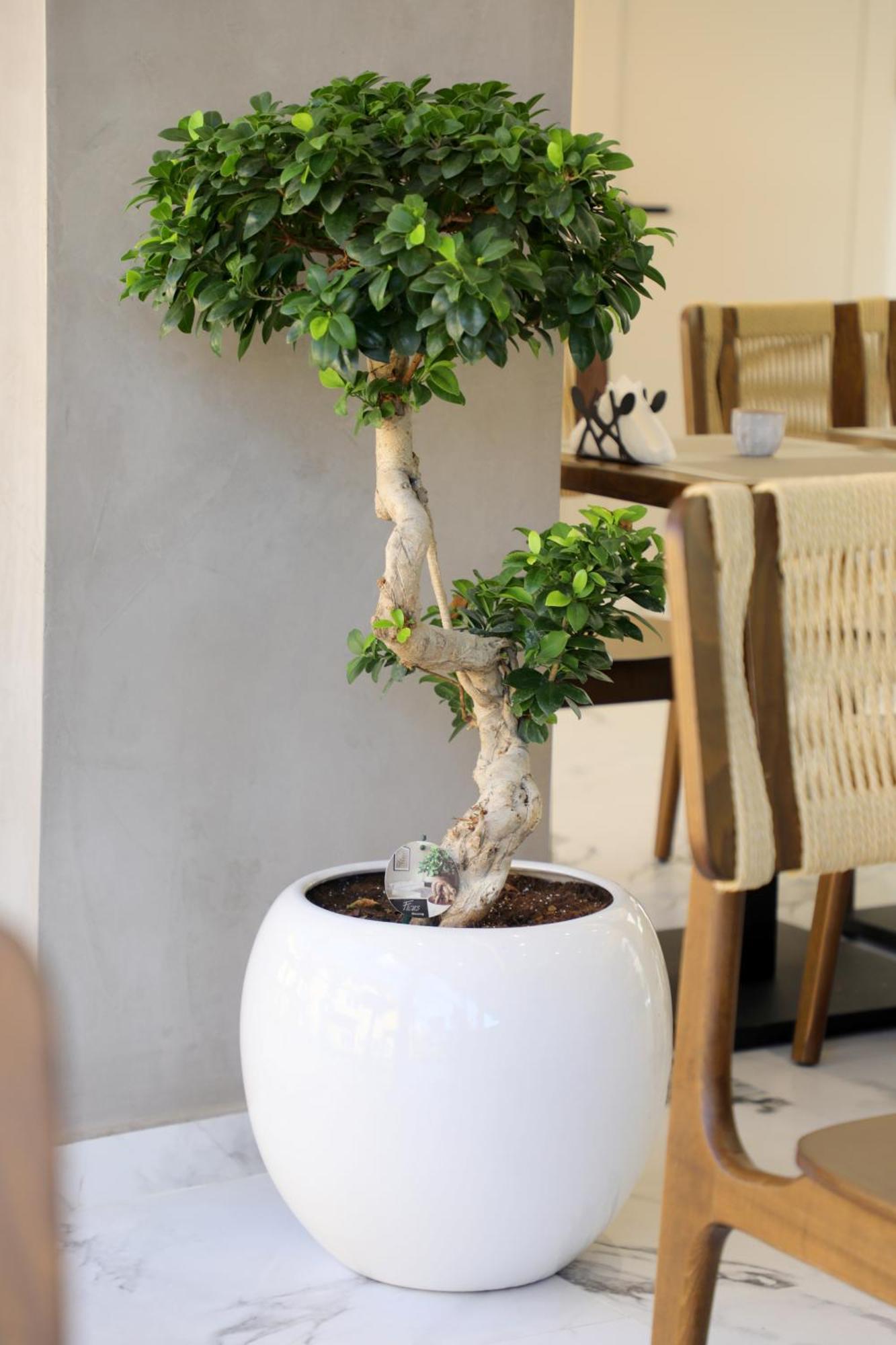 Niklas Boutique Hotel Σαράντα Εξωτερικό φωτογραφία